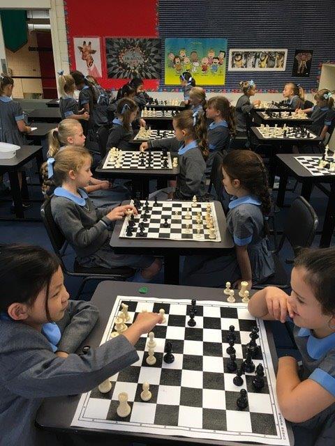 Playing chess improves children's capacity to take calculated