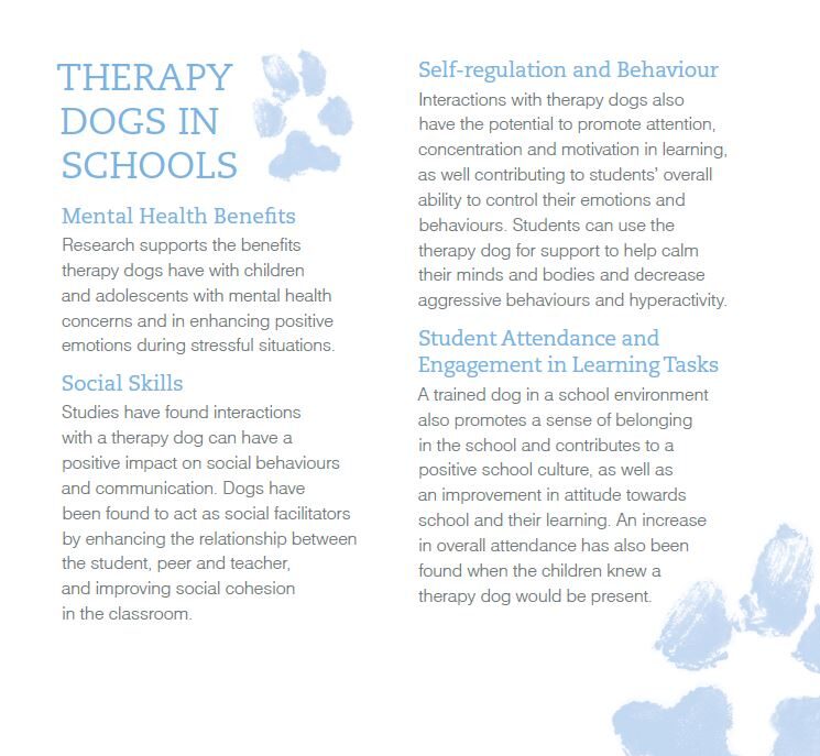 Therapy Dogs in Schools