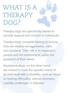 Therapy Dogs in Schools 