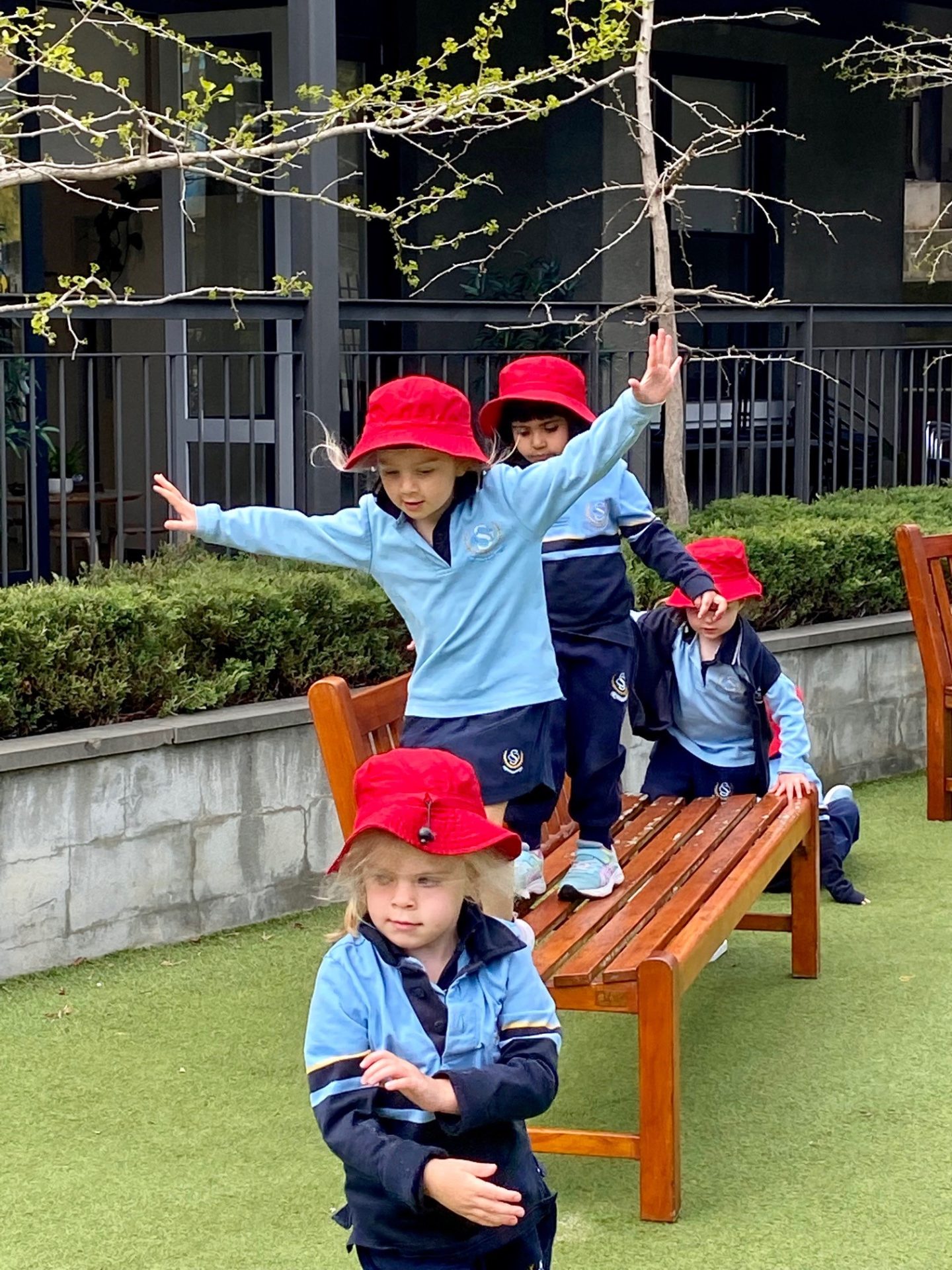 The Importance Of Physical Activity St Catherine s School the-importance-of-physical-activity-st-catherine-s-school