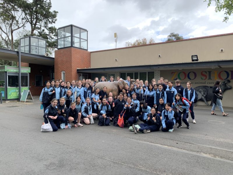 Year 7 Zoo Wellbeing Day 2022