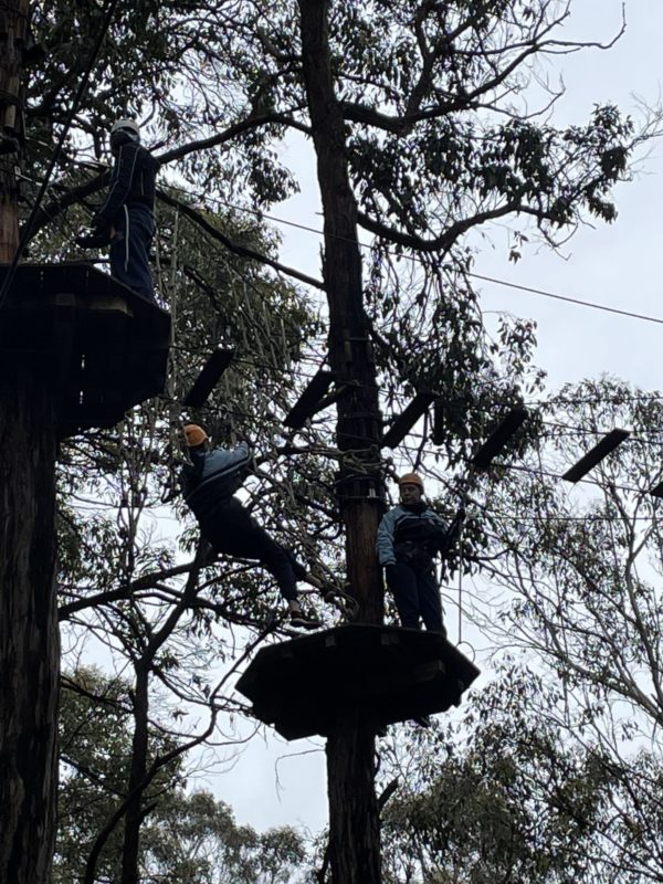 Year 11 Tree Surfing Wellbeing Day 22