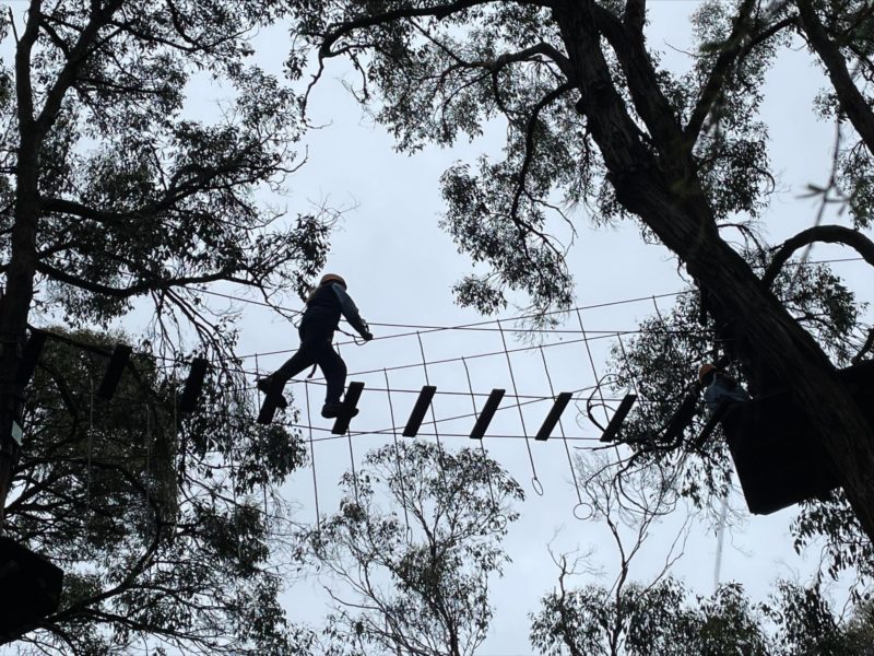 Year 11 Tree Surfing Wellbeing Day 22