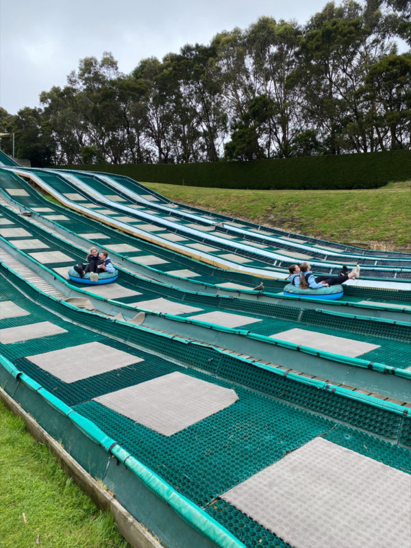 Year 11 Tree Surfing Wellbeing Day 22