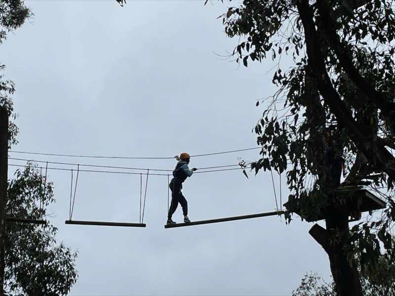 Year 11 Tree Surfing Wellbeing Day 22