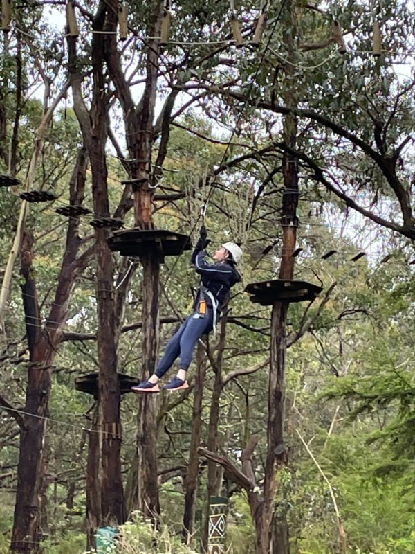 Year 11 Tree Surfing Wellbeing Day 22
