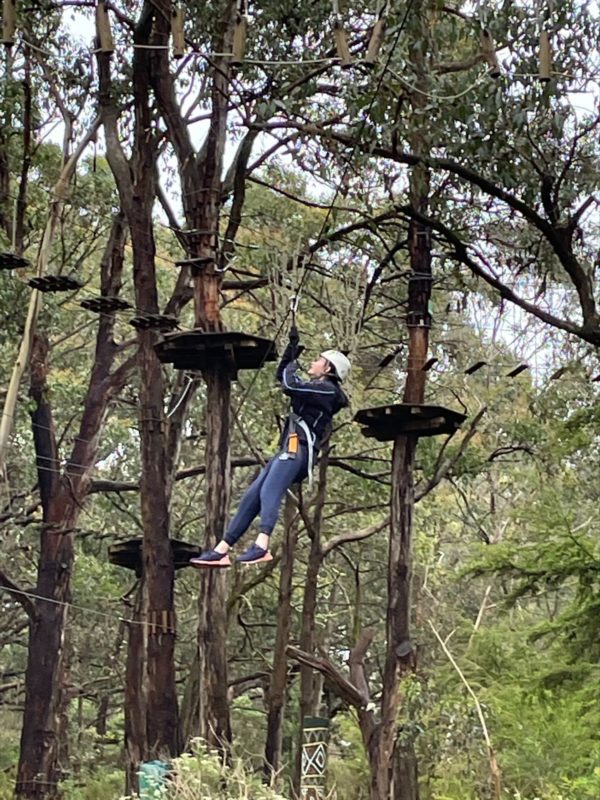 Year 11 Tree Surfing Wellbeing Day 22